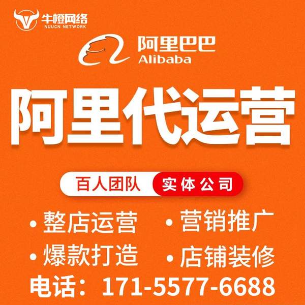 保山电商代运营