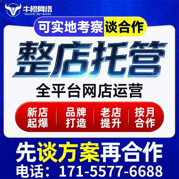 保山电商代运营