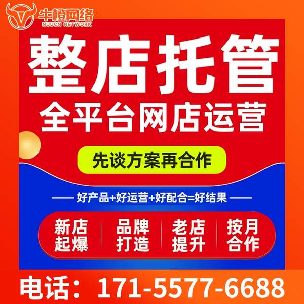 保山电商代运营