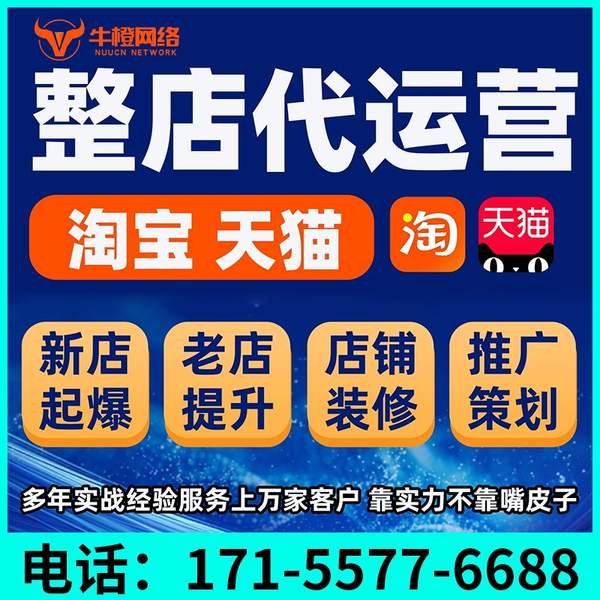 保山电商代运营
