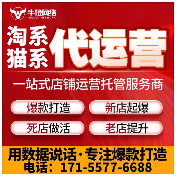 保山电商代运营